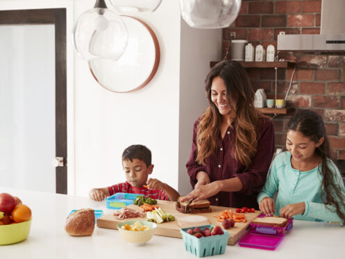 Home organization solutions in Tampa, FL